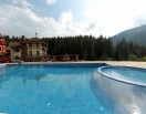 Swimming Pool, Hotel «Vezha Vedmezha»