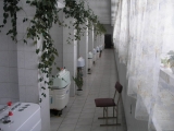, Health Resort / Sanatorium «Приднепровский»